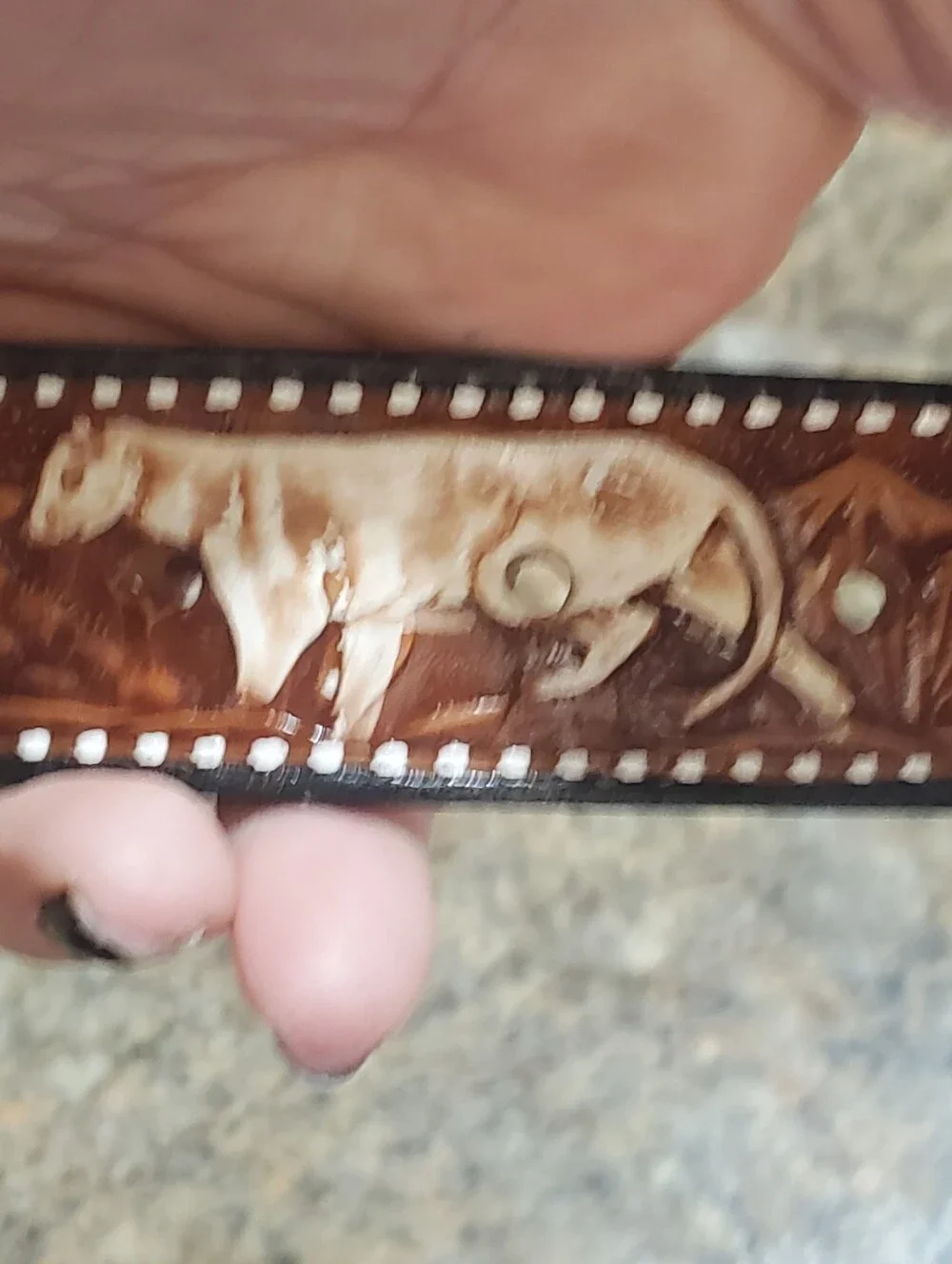 NWOT LEATHER SIZE 24. MEXICO BELT. TOOLED. ANIMAL